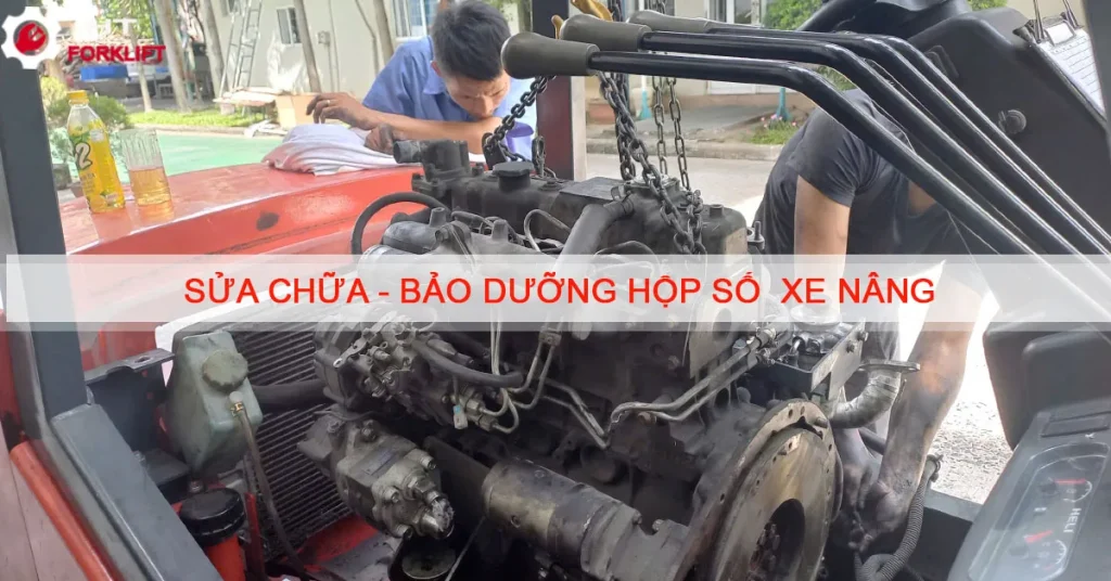 Sửa chữa, bảo dưỡng hộp số xe nâng