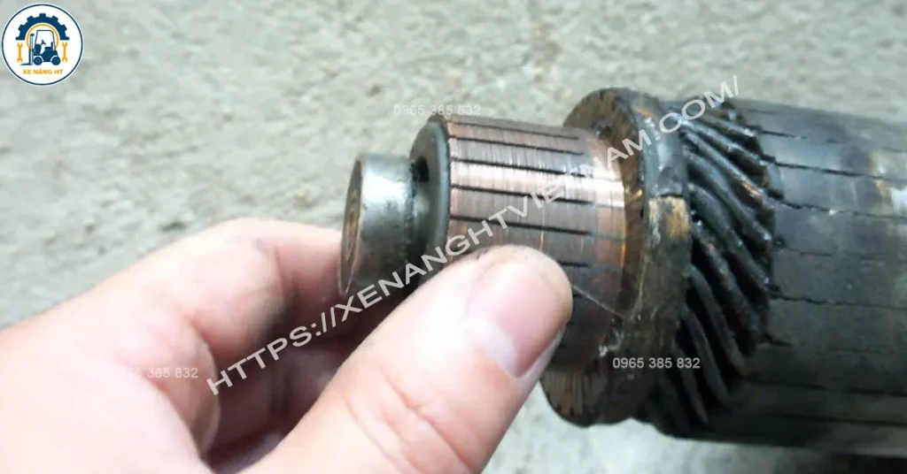 Cổ góp củ đề xinchai